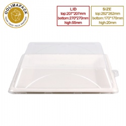 Square plate with PET  lid