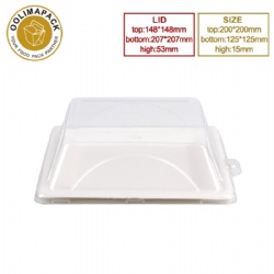 Square plate with PET  lid