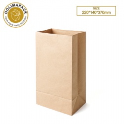220*140*370mm Paper bag