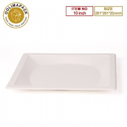 10inch Square Plate