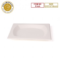 8inch Square Plate