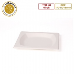 6inch Square Plate