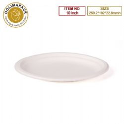 10inch Oval Plate