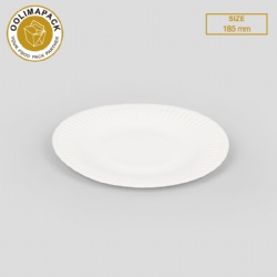 Paper plate