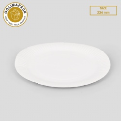 Paper plate