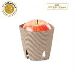 157*100*110mmh Fruit sleeve