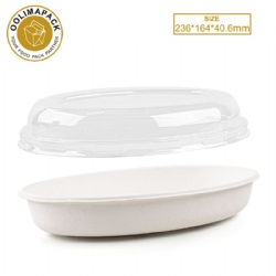 236*164*40.6ml Bagasse bowl